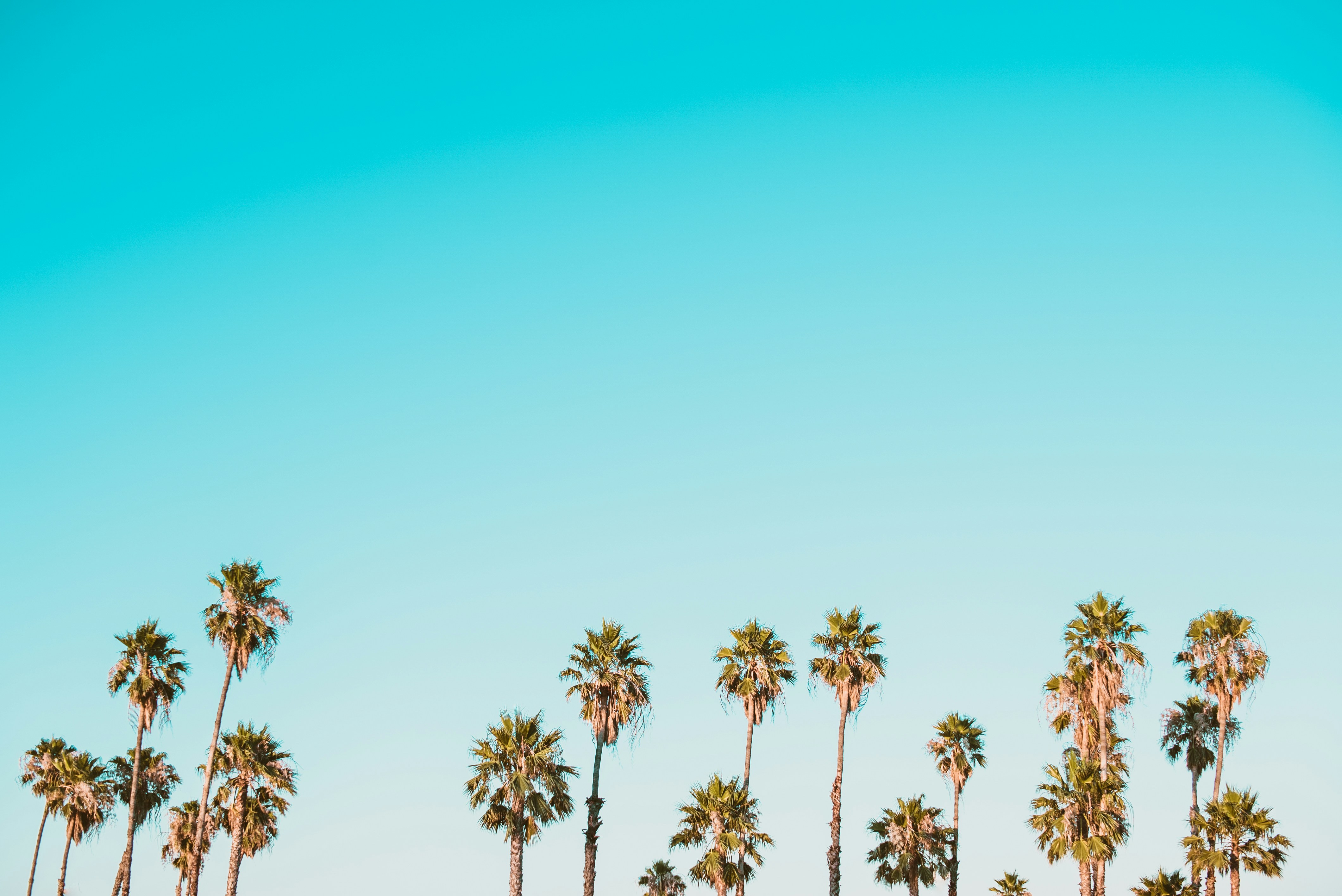 background-image